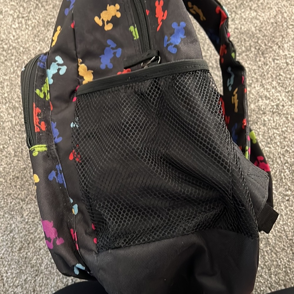 Disneyland Backpack - Picture 3 of 5
